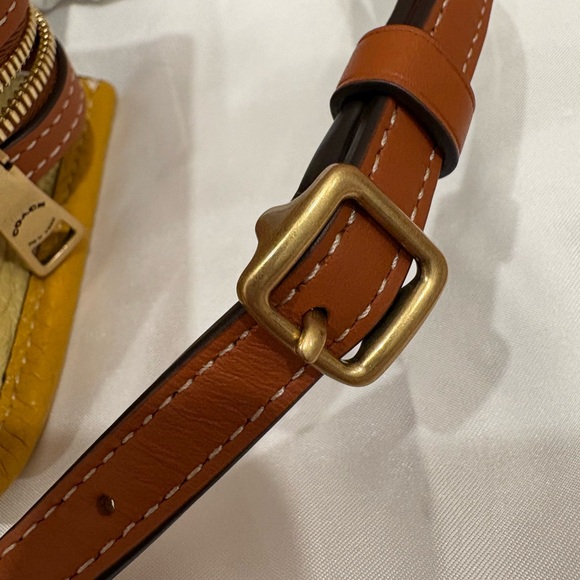 Coach 1941 Rogue 12 in Buttercup - Picture 7 of 11